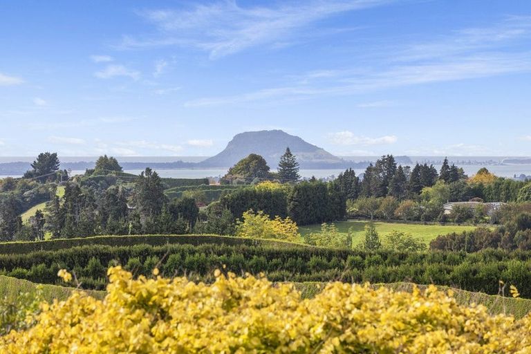 Photo of property in 51 Sinclair Road, Whakamarama, Tauranga, 3179