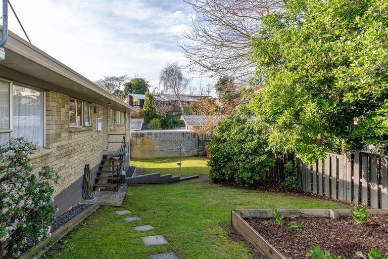 Photo of property in 66 Hazelwood Avenue, Dinsdale, Hamilton, 3204