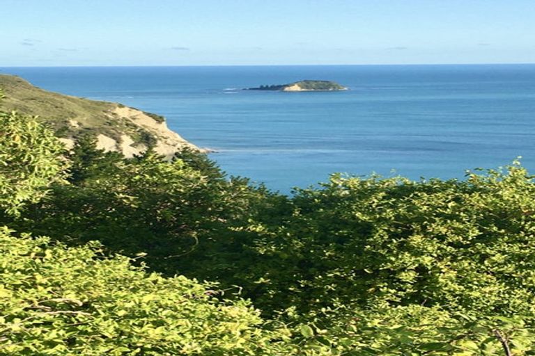 Photo of property in 76 Endcliffe Road, Kaiti, Gisborne, 4010