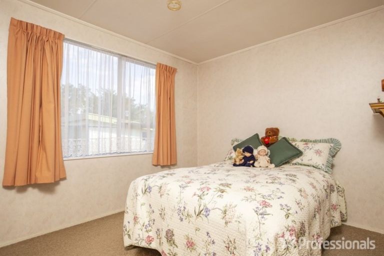 Photo of property in 16 Leeds Place, Solway, Masterton, 5810