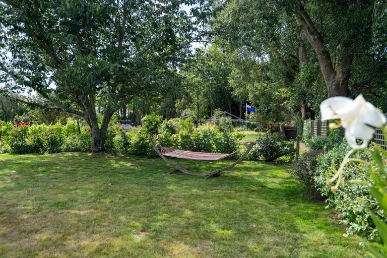 Photo of property in 4/193 Racecourse Road, Cambridge, 3493