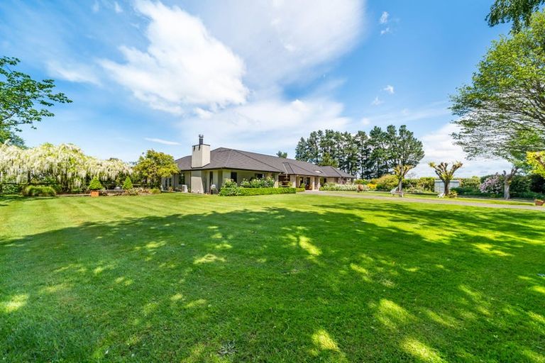 Photo of property in 41 Andrew Street, Kuripuni, Masterton, 5810