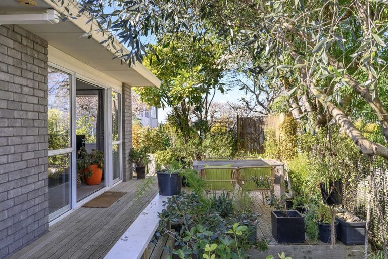 Photo of property in 2/19 Sixth Avenue, Tauranga, 3110