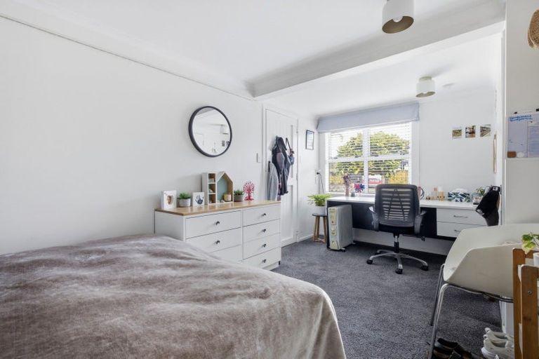 Photo of property in 59 Campbell Road, Mount Maunganui, 3116