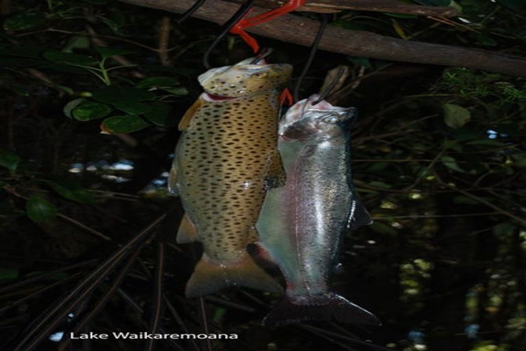 Photo of property in 82 Onepoto Road, Tuai, Wairoa, 4195