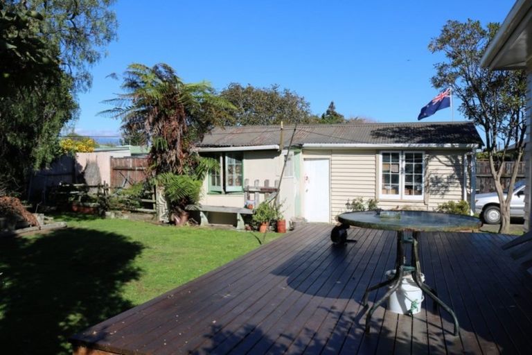 Photo of property in 90 Tiro Tiro Road, Levin, 5510