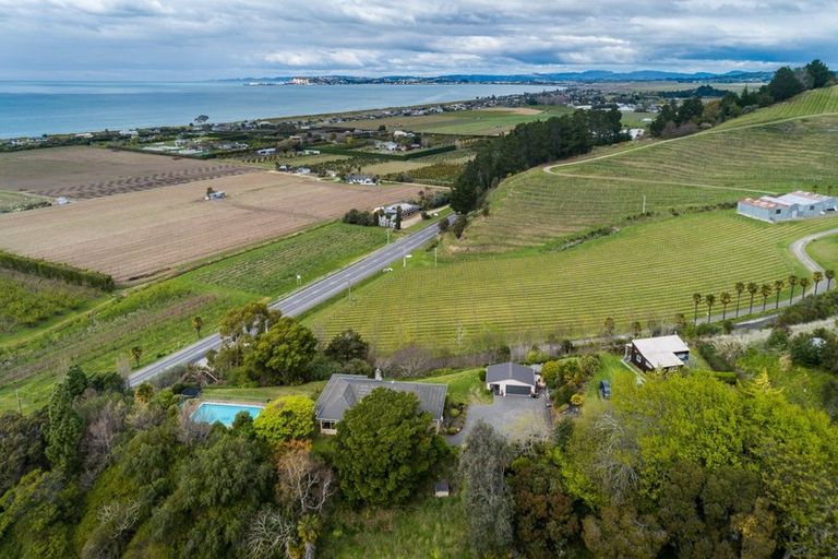 Photo of property in 755 Main North Road, Bay View, Napier, 4182