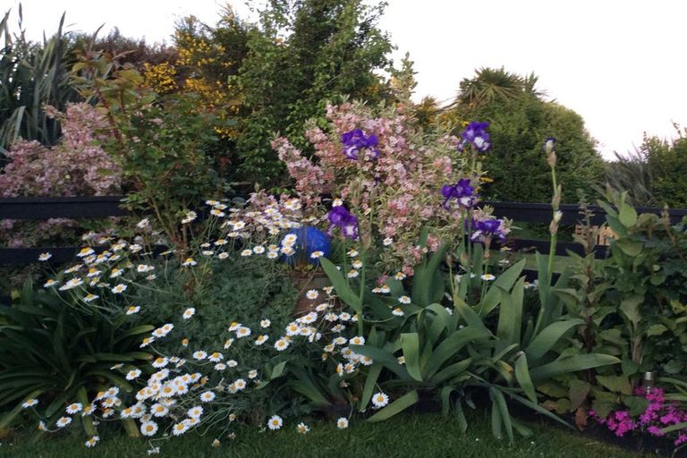 Photo of property in 1342 Coast Road, Toko Mouth, Milton, 9292