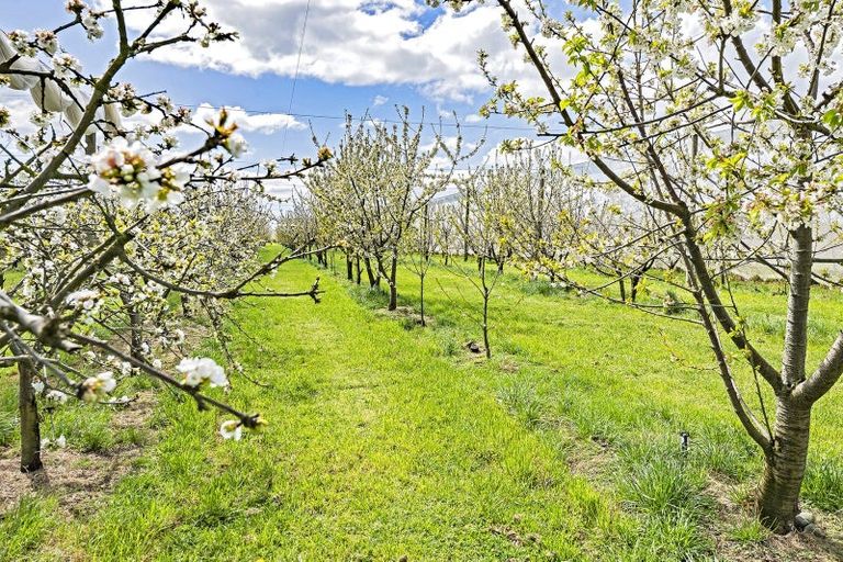 Photo of property in 1520 Tram Road, Swannanoa, Rangiora, 7475