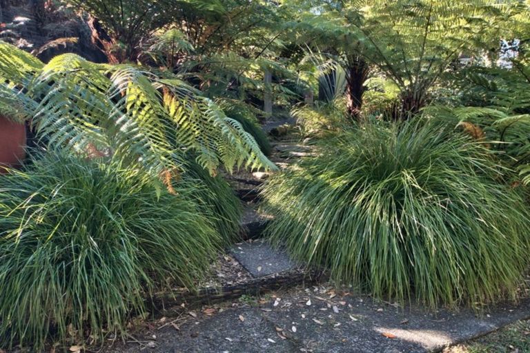 Photo of property in 1272 Huia Road, Huia, Auckland, 0604