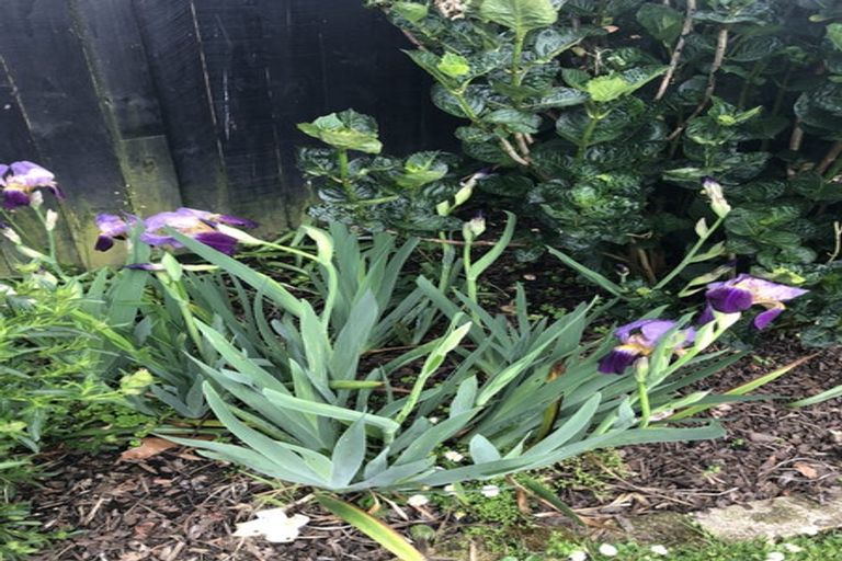 Photo of property in 317 River Road, Claudelands, Hamilton, 3214