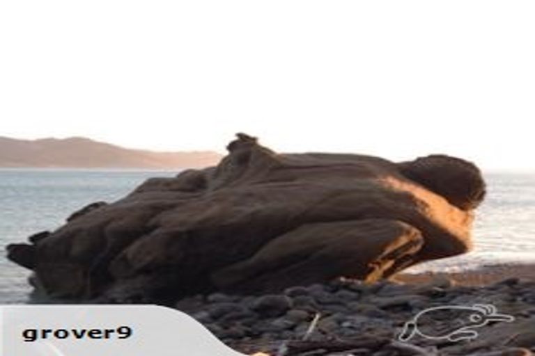 Photo of property in 502 Waipiro Road, Waipiro, Tokomaru Bay, 4079