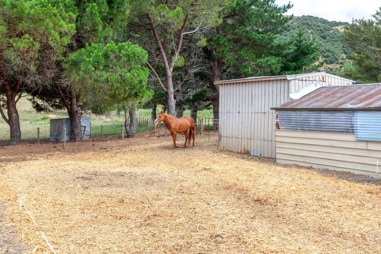 Photo of property in 141 Neavesville Road, Puriri, Thames, 3578