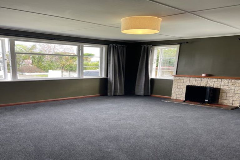 Photo of property in 14 Salisbury Avenue, Terrace End, Palmerston North, 4410