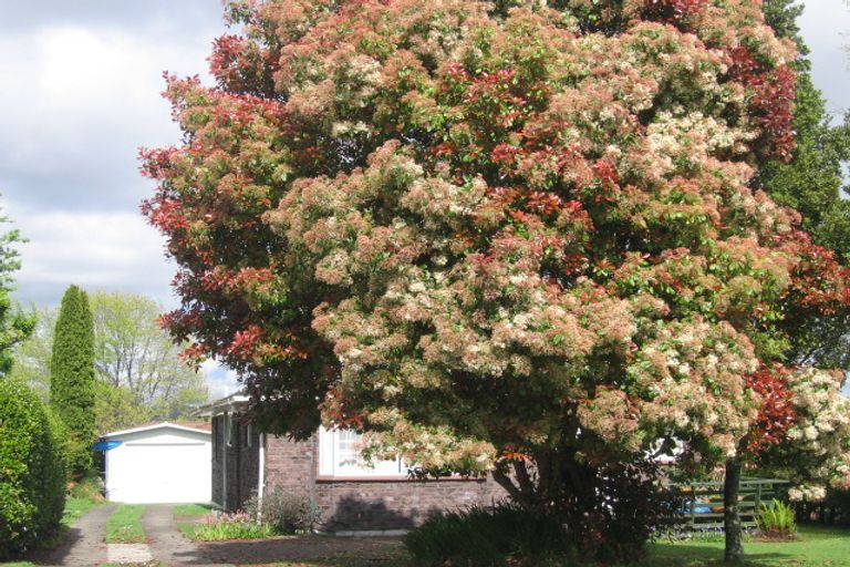 Photo of property in 3 Tumene Drive, Owhata, Rotorua, 3010