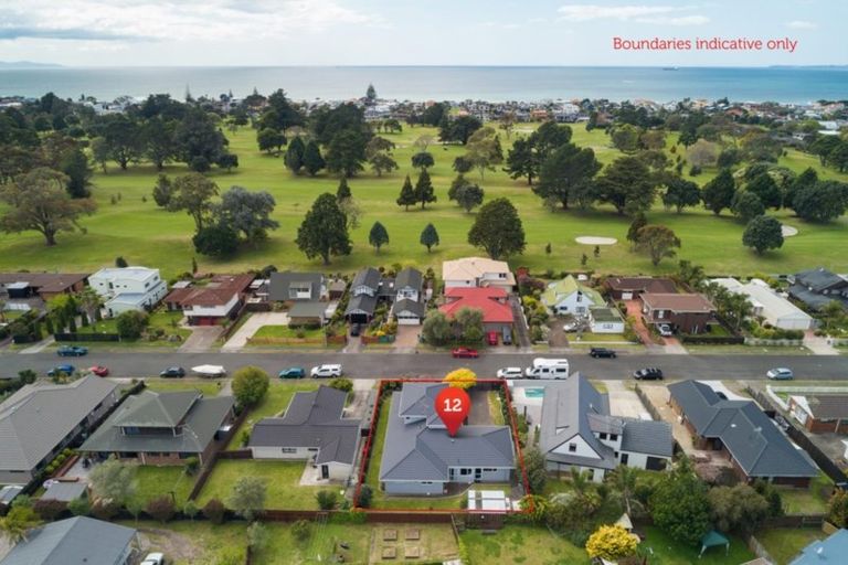 Photo of property in 12 Berwick Place, Mount Maunganui, 3116