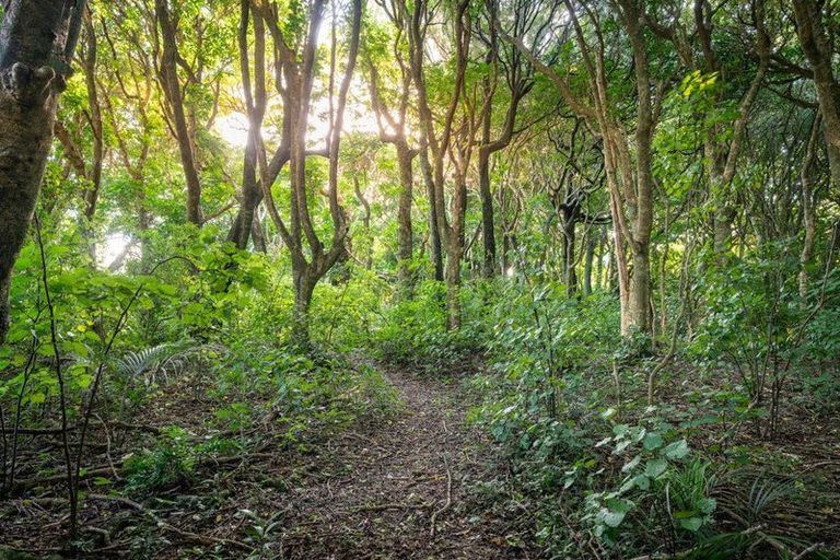 Photo of property in 5-7 Kohekohe Road, Waikanae, 5036