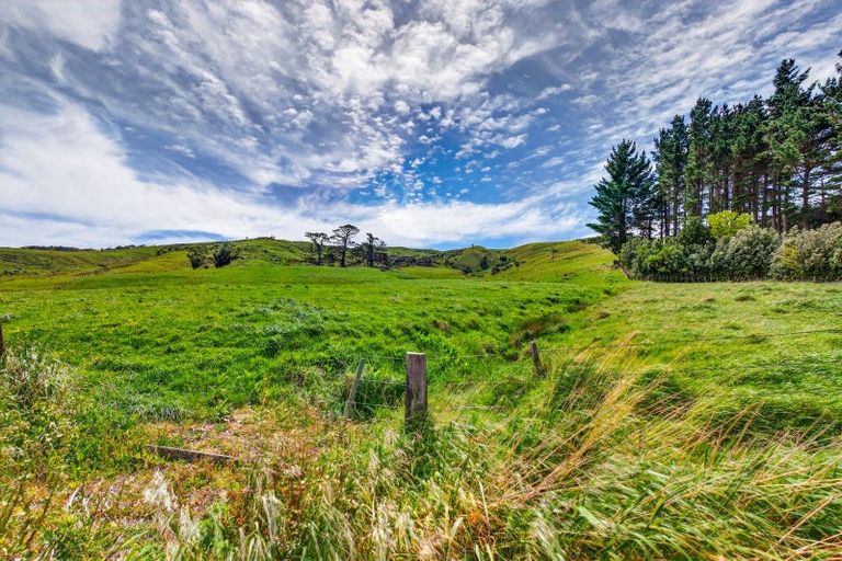 Photo of property in 453 Whangaehu Road, Porangahau, 4293