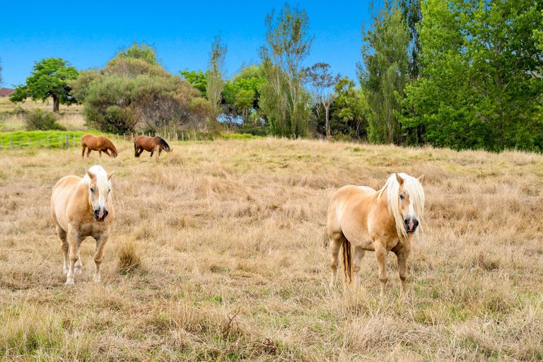 Photo of property in 1498 Oneriri Road, Kaiwaka, 0573