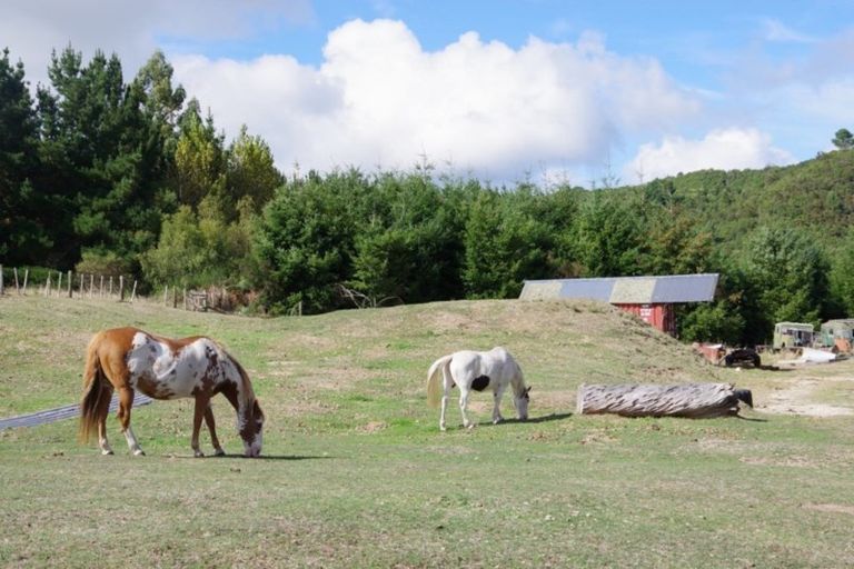 Photo of property in 27 Otake Road, Marotiri, Taupo, 3377