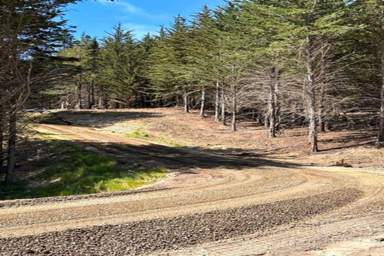 Photo of property in 3/28 Shag Point Road, Shag Point, Palmerston, 9482