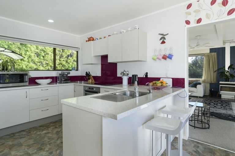 Photo of property in 313 Youngson Road, Whakamarama, Tauranga, 3179