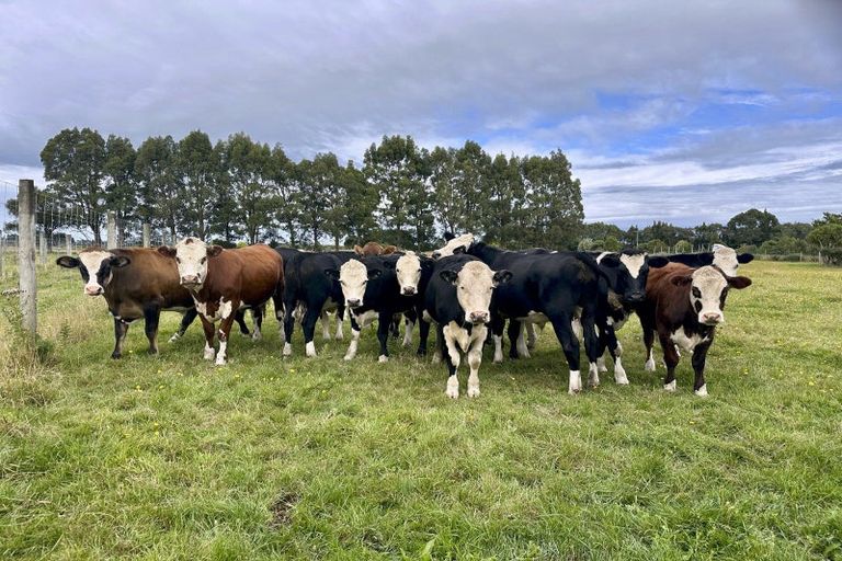 Photo of property in 35 Pioneer Highway, Mataura, Gore, 9774