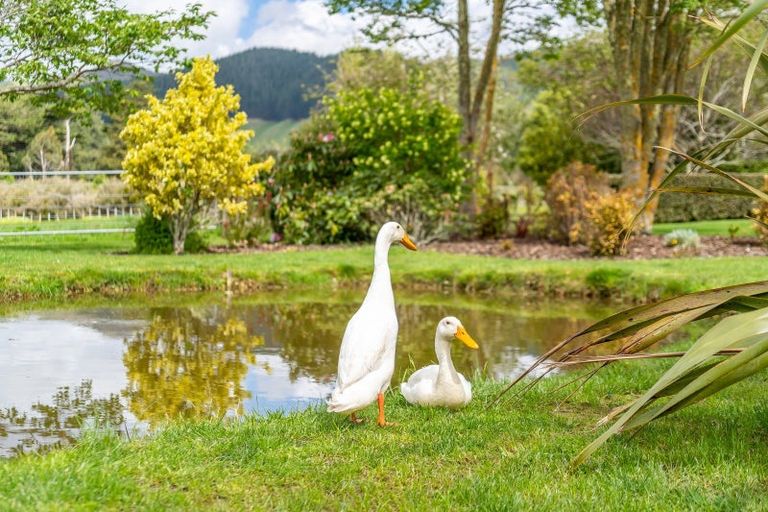Photo of property in 43 Tvl Road, Blue Mountains, Upper Hutt, 5371