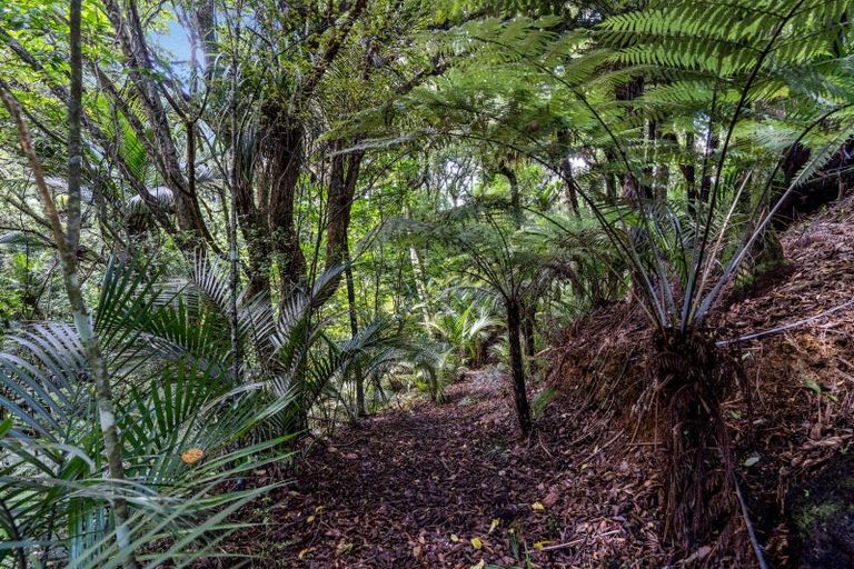 Photo of property in 94 Ara-kotinga, Whitford, Manurewa, 2576