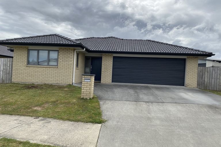 Photo of property in 42 Tupelo Street, Pukete, Hamilton, 3200