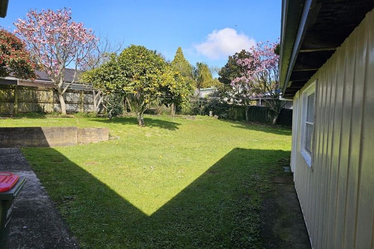 Photo of property in 38 Mansel Avenue, Hillcrest, Hamilton, 3216