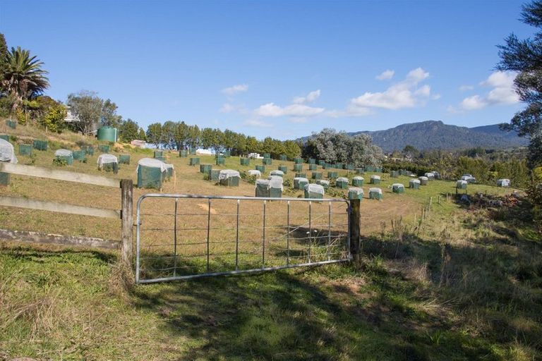 Photo of property in 470 Wright Road, Aongatete, Katikati, 3181