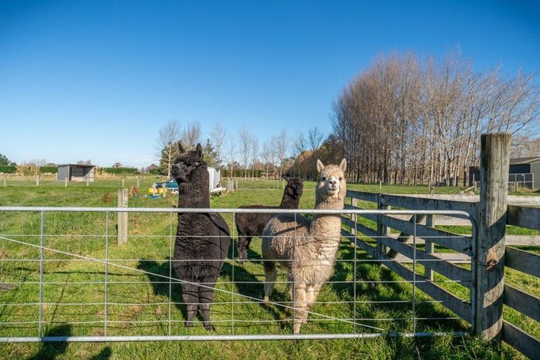 Photo of property in 22 North Town Belt, Temuka, 7986