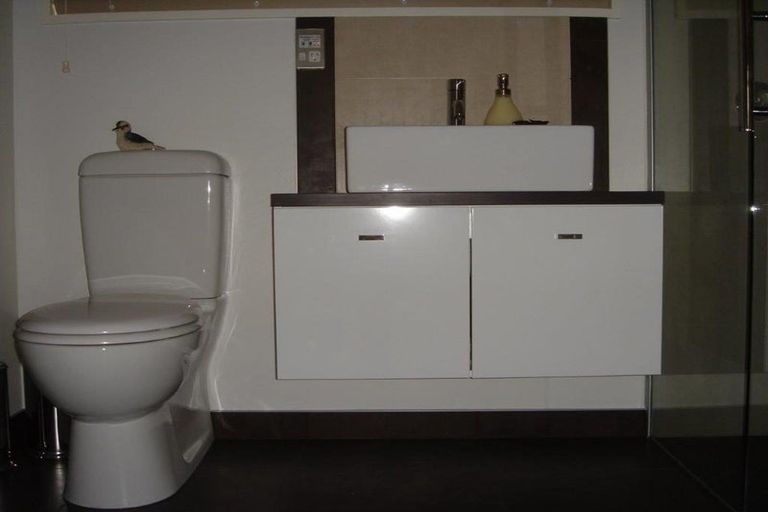 Photo of property in 7 College Place, Poike, Tauranga, 3112