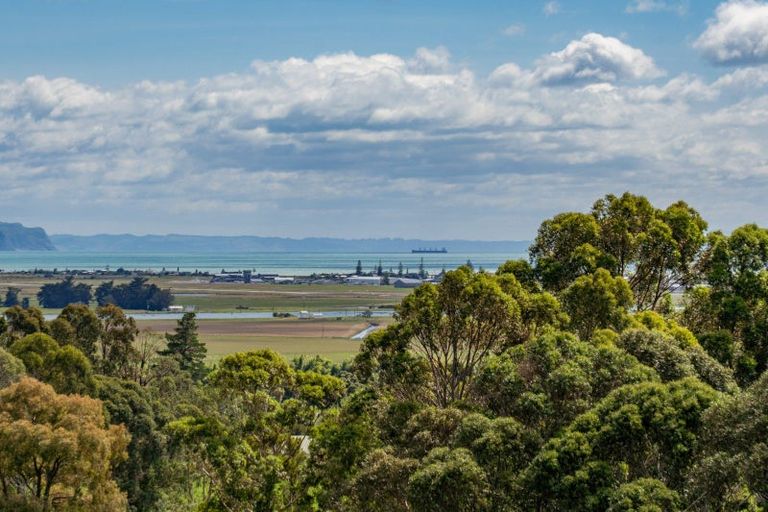 Photo of property in 164 Puketitiri Road, Poraiti, Napier, 4182