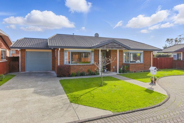 Photo of property in 3 Surrey Lane, Levin, 5510