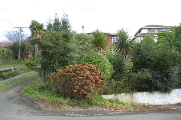 Photo of property in 78 Ravenswood Road, Saint Clair, Dunedin, 9012