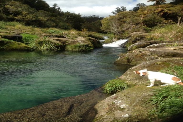 Photo of property in 11 Sarona Park Drive, Omanawa, Tauranga, 3171