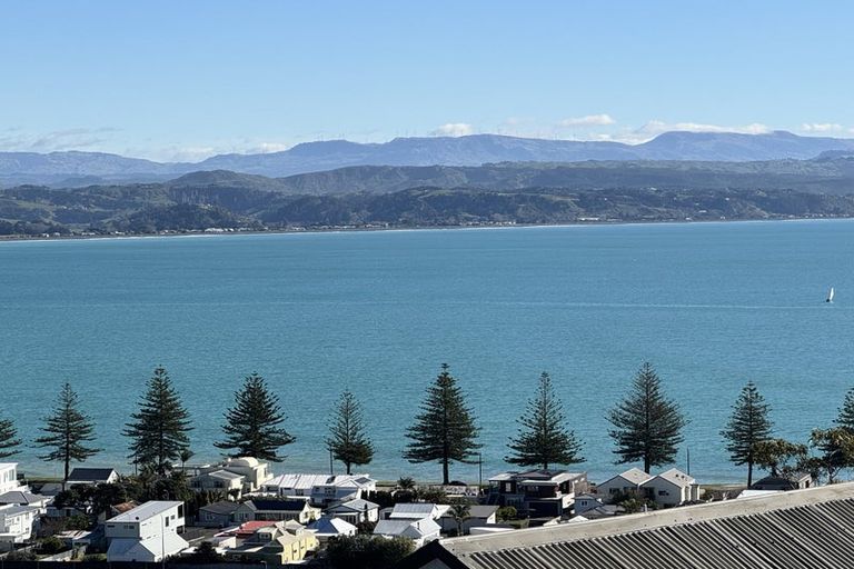 Photo of property in 14 Roslyn Road, Bluff Hill, Napier, 4110