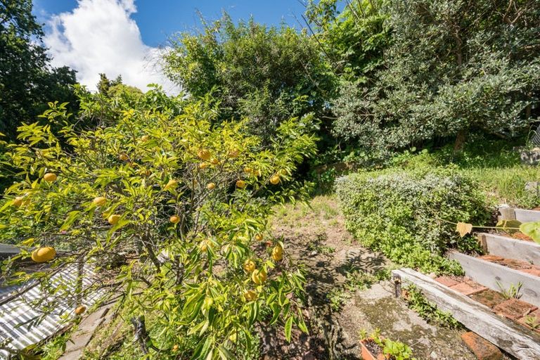 Photo of property in 24 Fountain Place, Beachville, Nelson, 7010