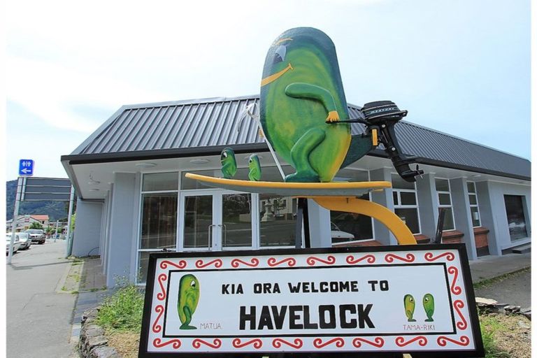 Photo of property in 31 Main Road, Havelock, 7100