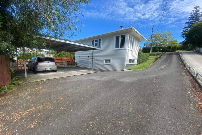 Photo of property in 45 Mahoe Street, Melville, Hamilton, 3206