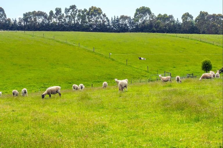 Photo of property in 374 Rosebrook Road, Claremont, Timaru, 7974
