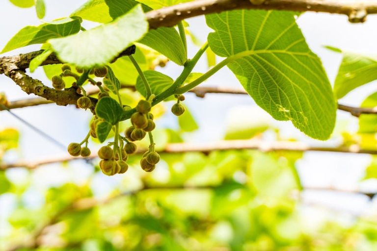 Photo of property in 988 Otaika Valley Road, Maungatapere, Whangarei, 0170