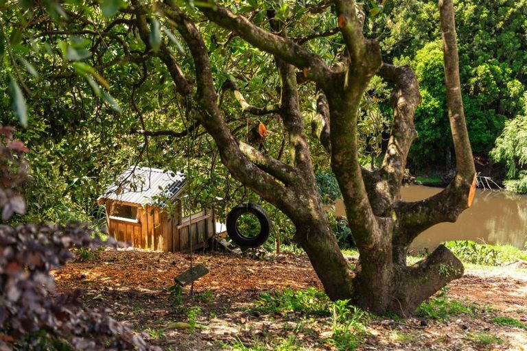 Photo of property in 244 Wharawhara Road, Tahawai, Katikati, 3178