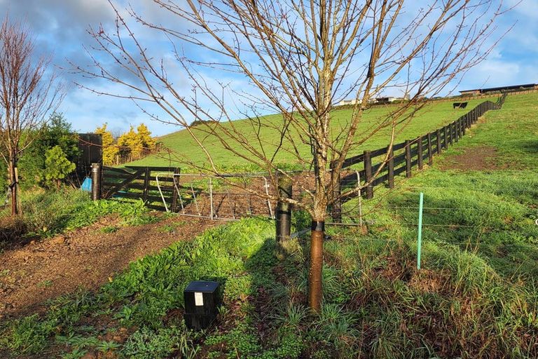 Photo of property in 62 Grace James Road, Pukekohe, 2120