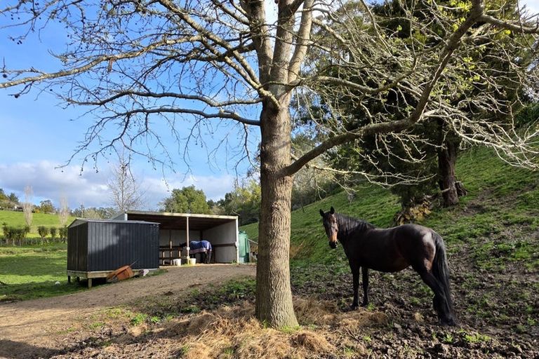 Photo of property in 307 Whananaki North Road, Opuawhanga, Hikurangi, 0181