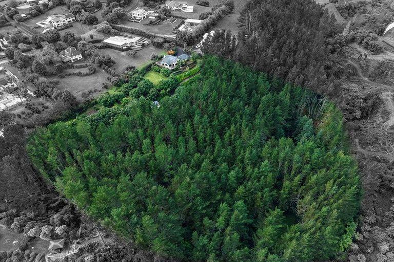 Photo of property in 14 Tupelo Place, Ohauiti, Tauranga, 3112