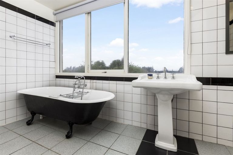 Photo of property in 115 Matthews Lane, Rapaura, Blenheim, 7273