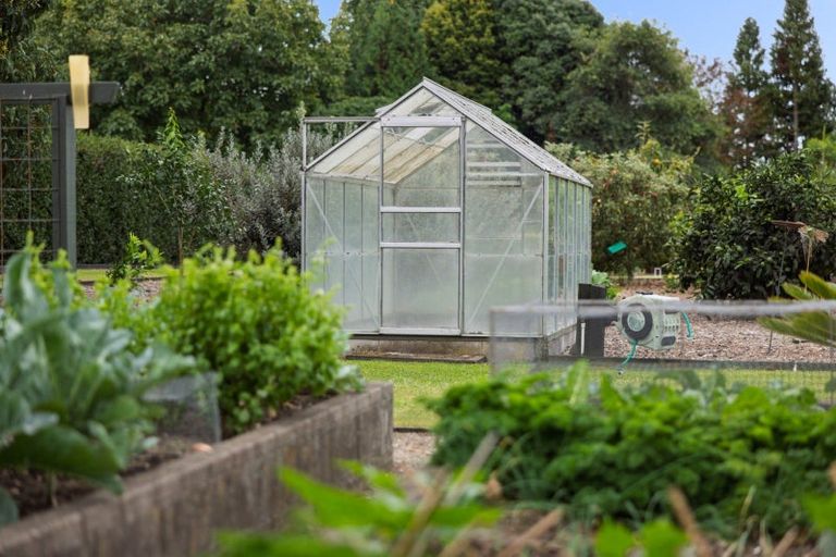 Photo of property in 74 Raukawa Drive, Bethlehem, Tauranga, 3110